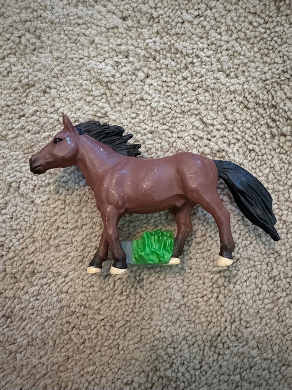 National Geographic Kids: Horse Tonie